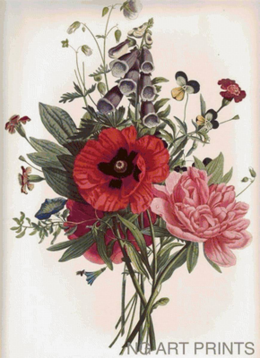 Пьер Жозе Редутт - цветы, живопись, букет - предпросмотр