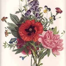 Пьер Жозе Редутт