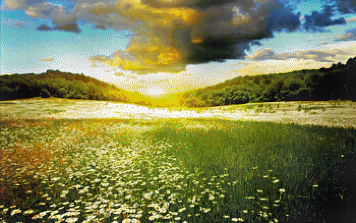 цветочное поле - предпросмотр