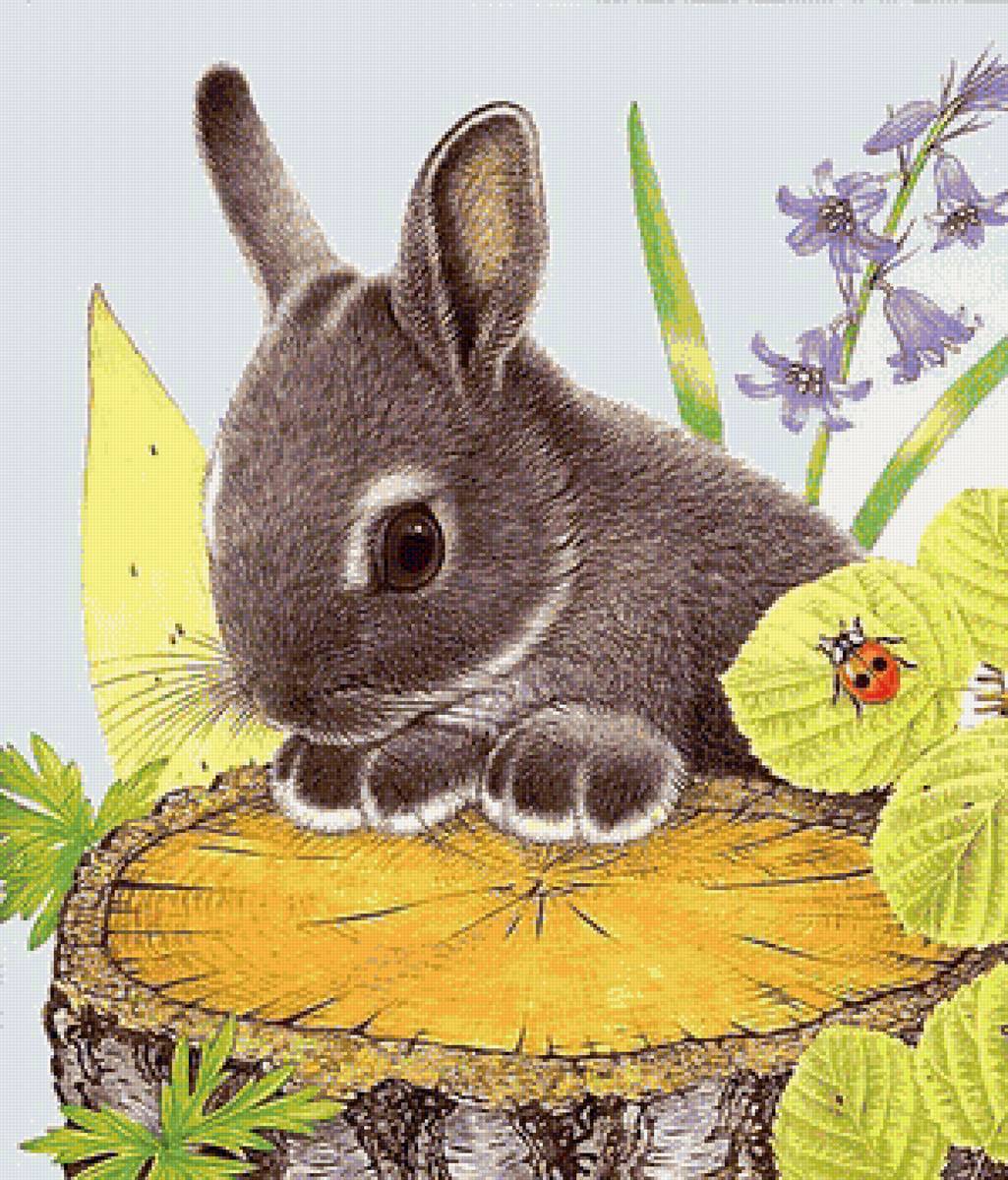 Зайчонок - животные - предпросмотр