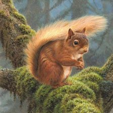 Схема вышивки «,tkjxrf»