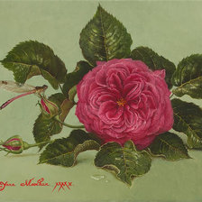 Схема вышивки «Яна Мовчан»