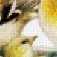Предпросмотр схемы вышивки «птички» (№1322830)