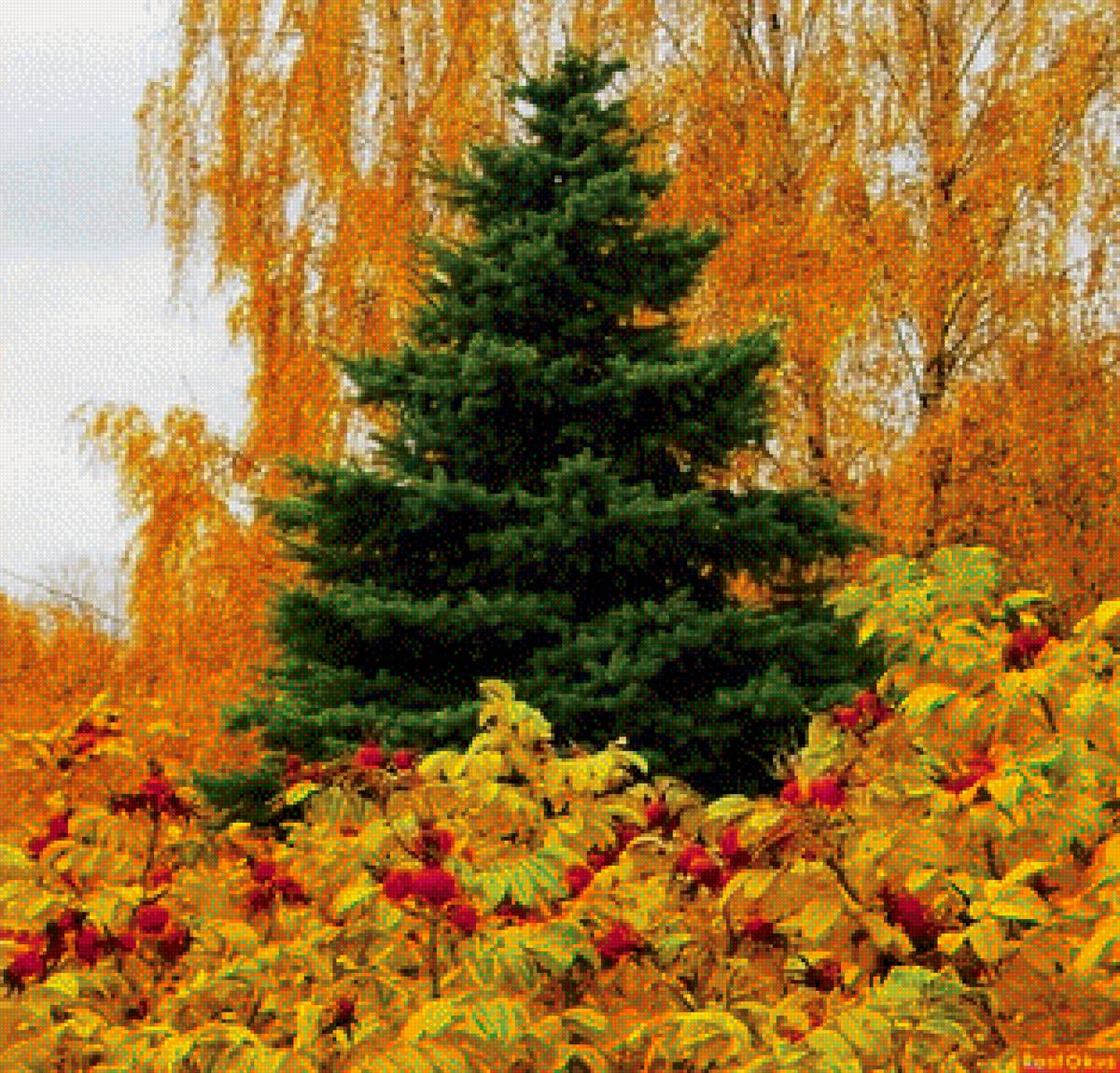 осень - предпросмотр