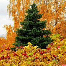 Схема вышивки «осень»