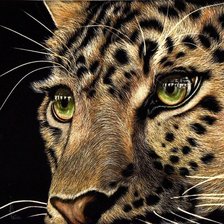 Схема вышивки «взгляд»