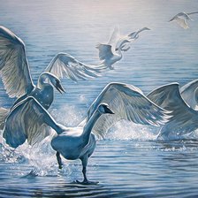 Схема вышивки «лебединое озеро»