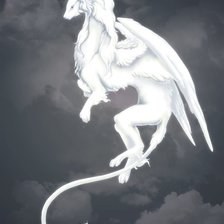 Схема вышивки «драг»