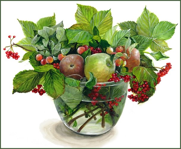 букет из яблок фуджико - фуджико, яблоки, букет - оригинал