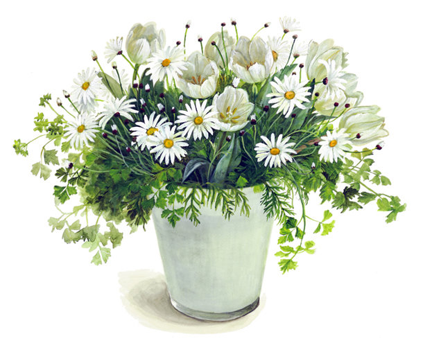 букет из ромашек Фуджико - ромашки, фуджико - оригинал