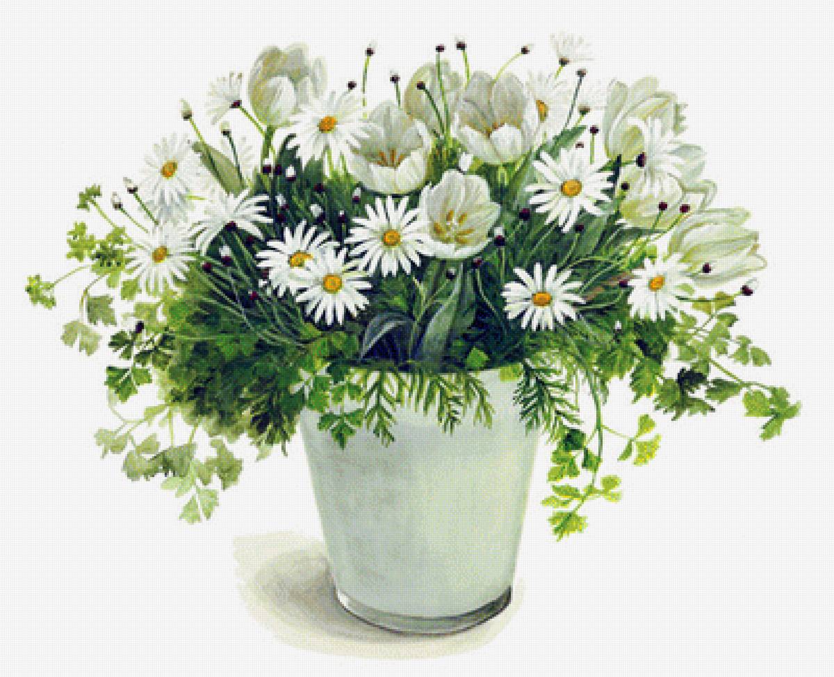 букет из ромашек Фуджико - фуджико, ромашки - предпросмотр