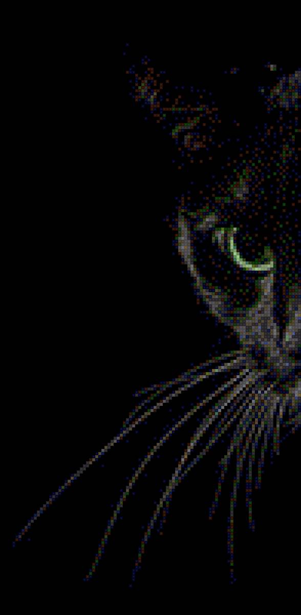 Черная кошка - кошачий глаз, черная кошка, черный фон - предпросмотр