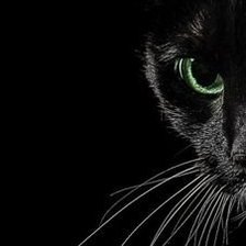 Схема вышивки «Черная кошка»