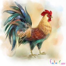 Схема вышивки «2017 год петуха»