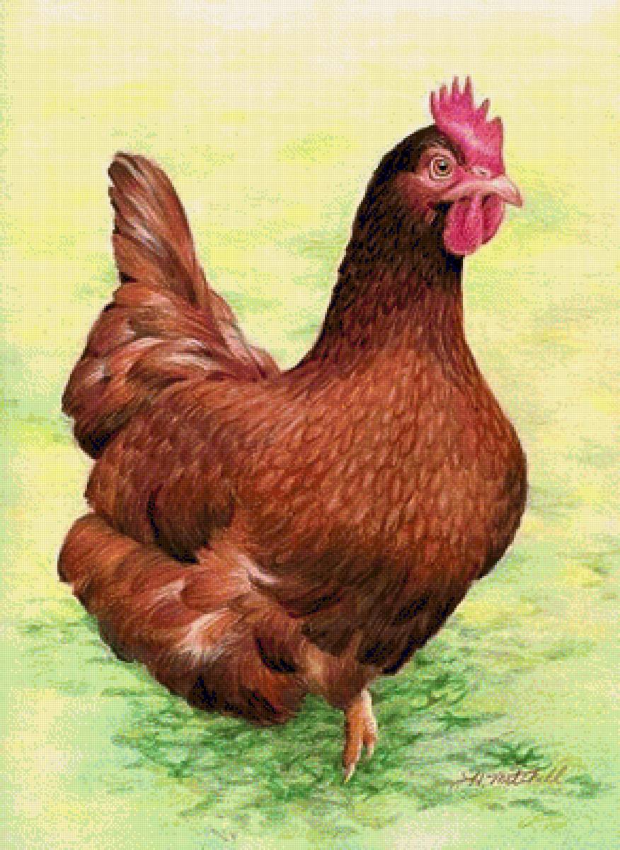 №1324499 - предпросмотр