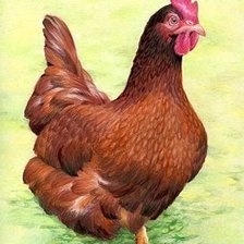 Схема вышивки «№1324499»