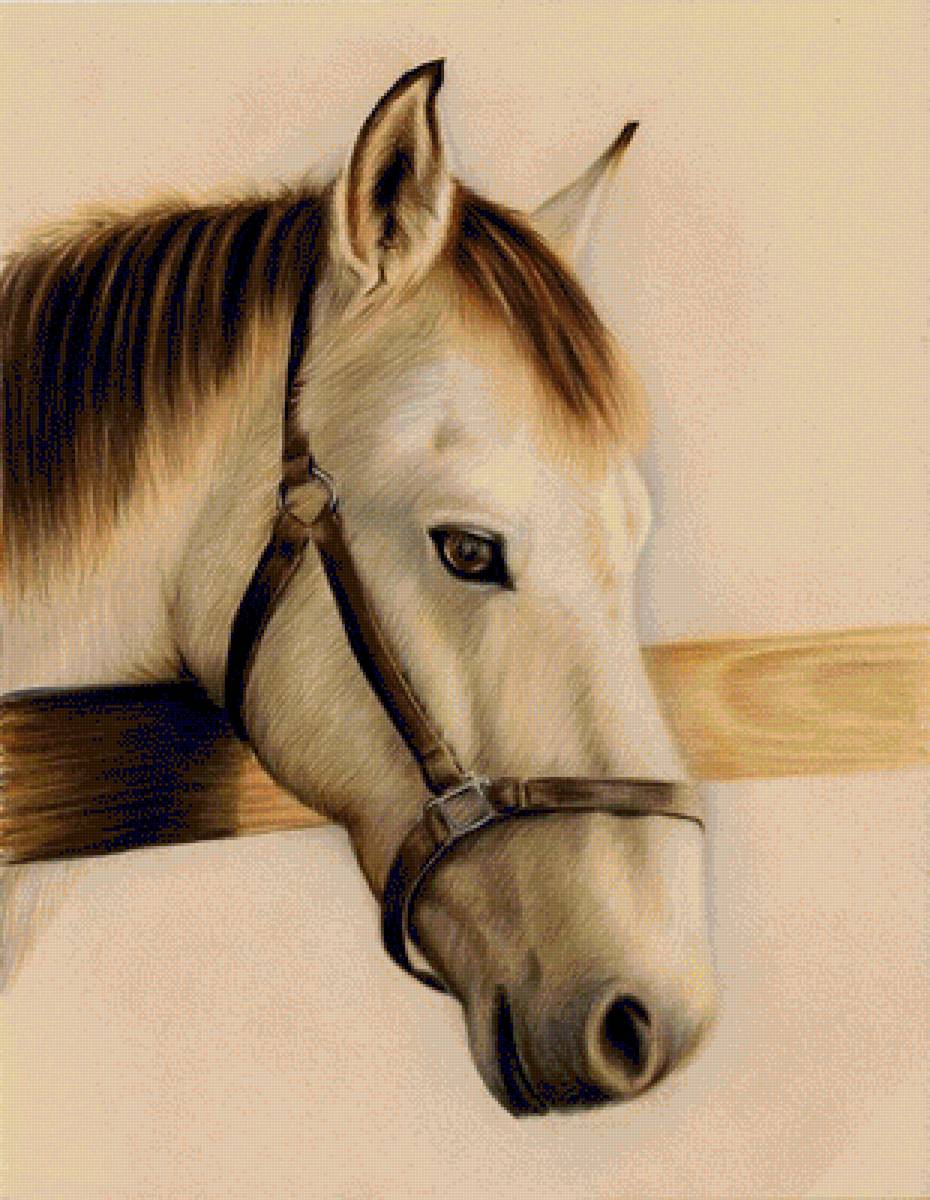 №1324509 - предпросмотр