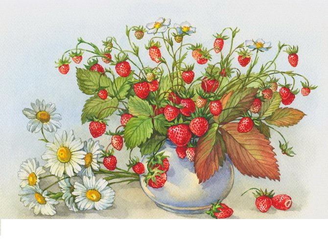 земляника и ромашки - цветы, ягоды - оригинал