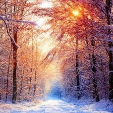 Схема вышивки «Зима»