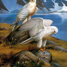 Схема вышивки «№1324637»