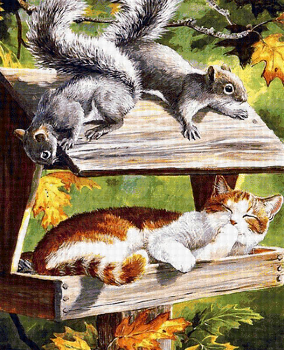 Серия "Фауна" - животные, белки, кот - предпросмотр