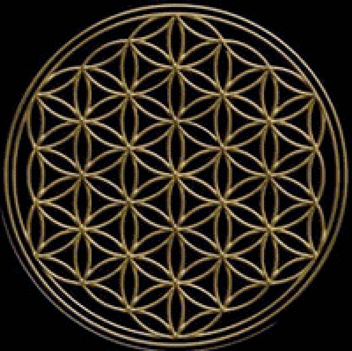 цветок жизни 1 - предпросмотр