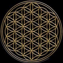 цветок жизни 1