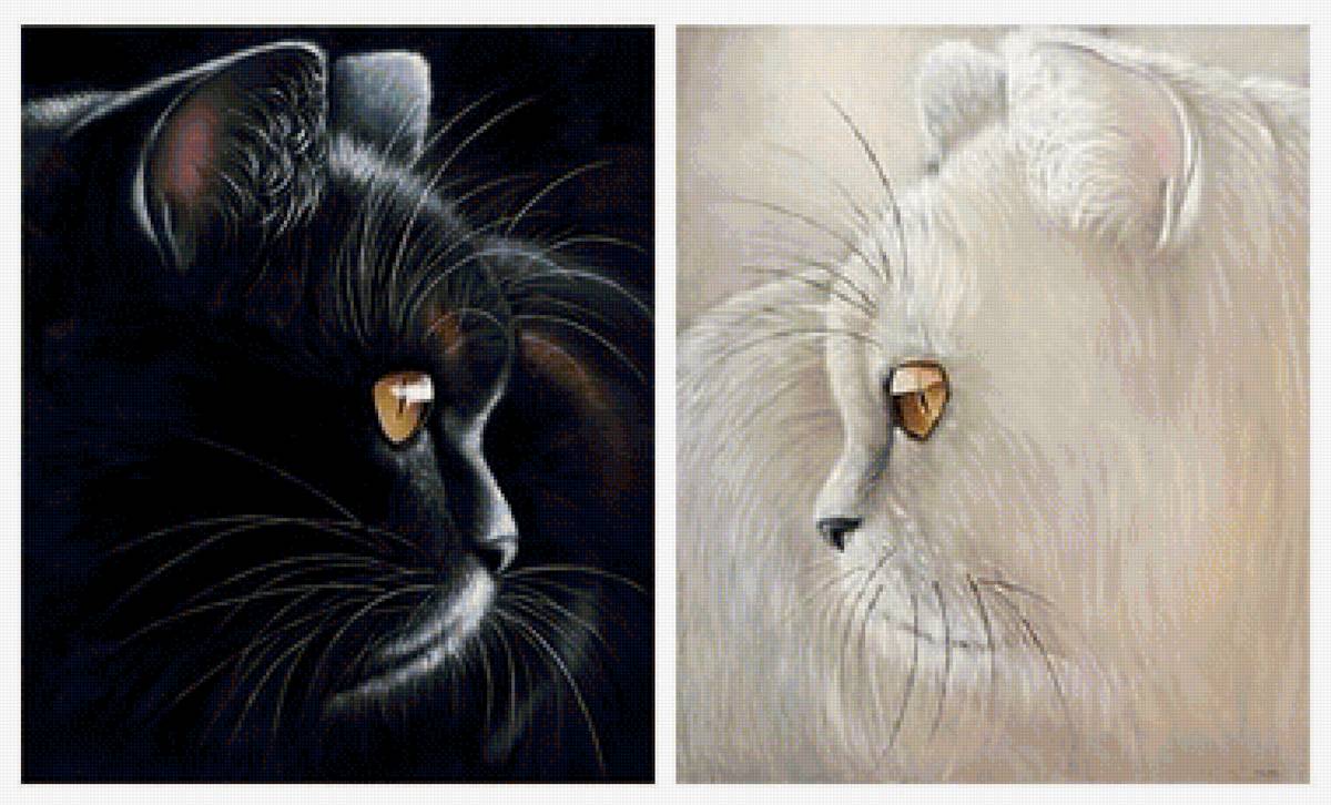 Инь Янь - ангел и демон, кошки, белое и черное, добро и зло - предпросмотр