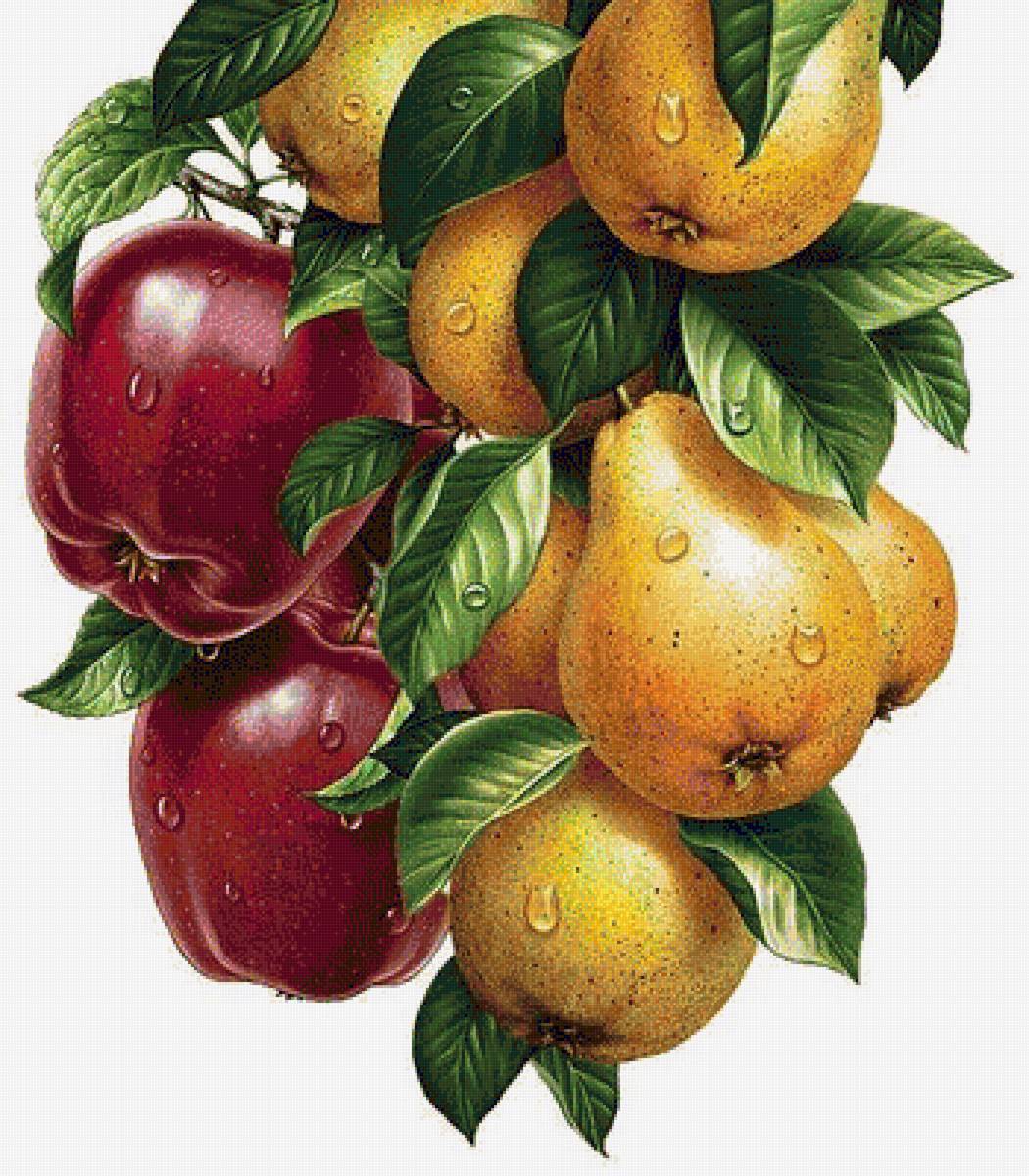 Ассорти - фрукты, на кухню - предпросмотр