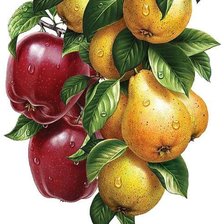 Схема вышивки «Ассорти»