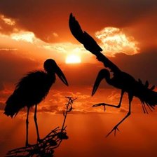 Схема вышивки «Африка»