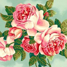 Схема вышивки «Розы»