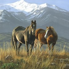 Схема вышивки «№1325819»