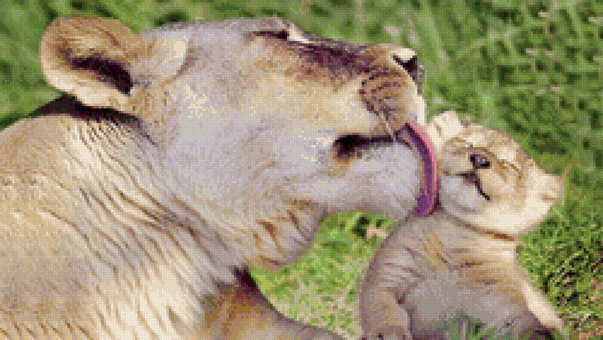 мамин поцелуй - мама, поцелуй, лев - предпросмотр