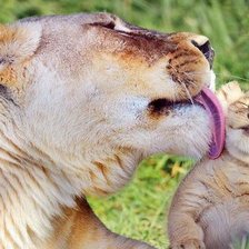 Схема вышивки «мамин поцелуй»