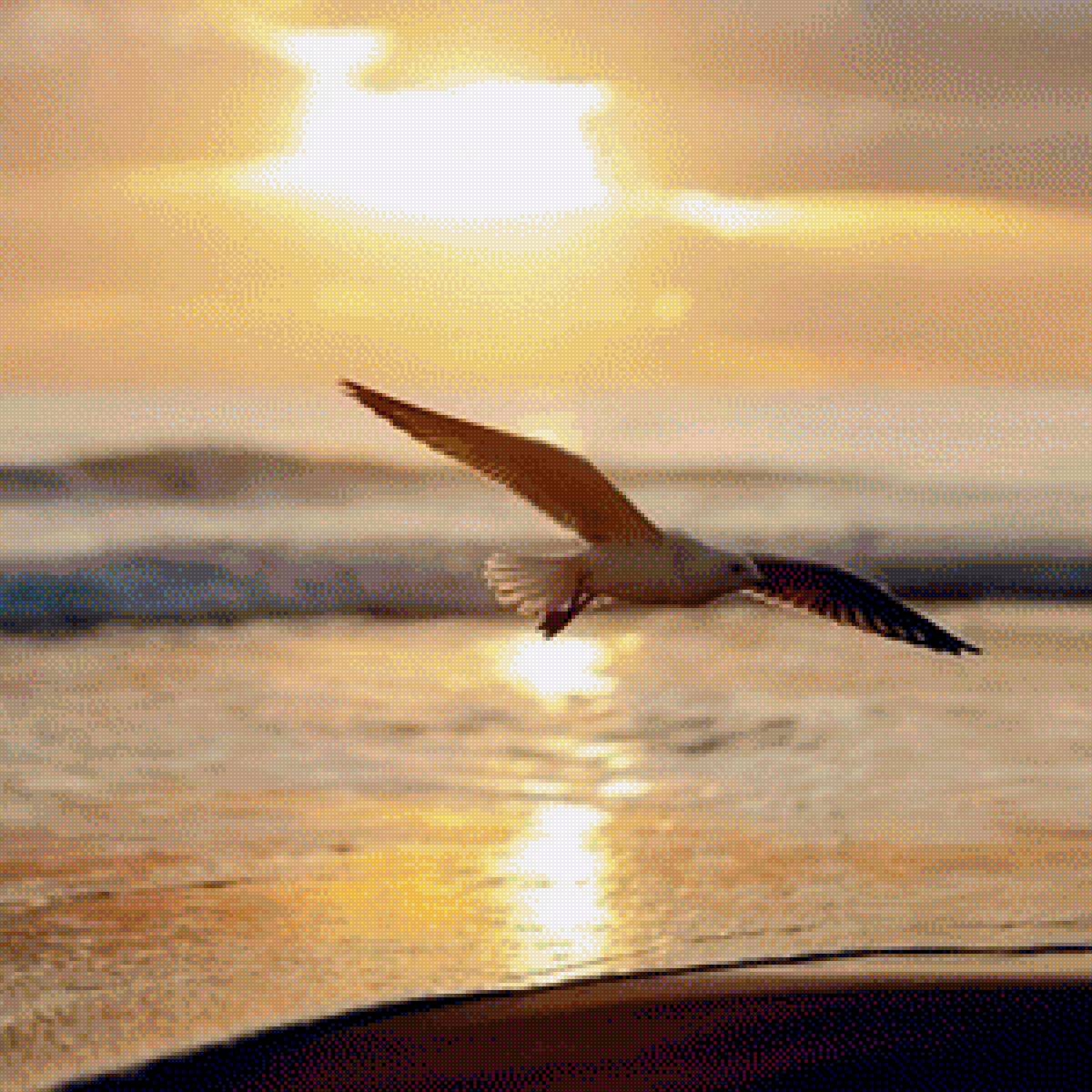 чайка - предпросмотр