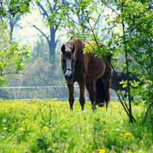 Схема вышивки «№1326772»