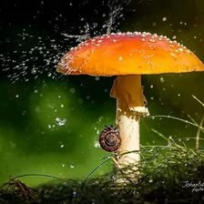 Схема вышивки «№1326785»