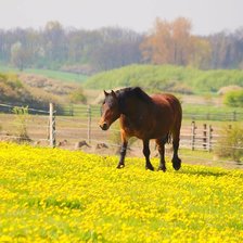 Схема вышивки «№1326789»