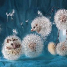 Схема вышивки «№1326792»