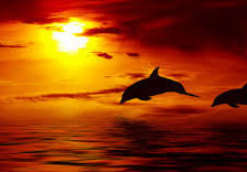 Схема вышивки «на закате»