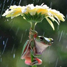 Схема вышивки «№1326809»