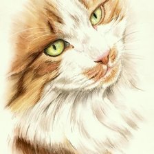 Схема вышивки «№1326825»