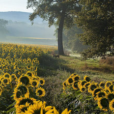 Схема вышивки «№1326928»