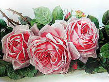 Схема вышивки «№1327019»