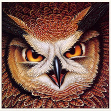 Схема вышивки «сова»