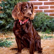 Схема вышивки «00061»