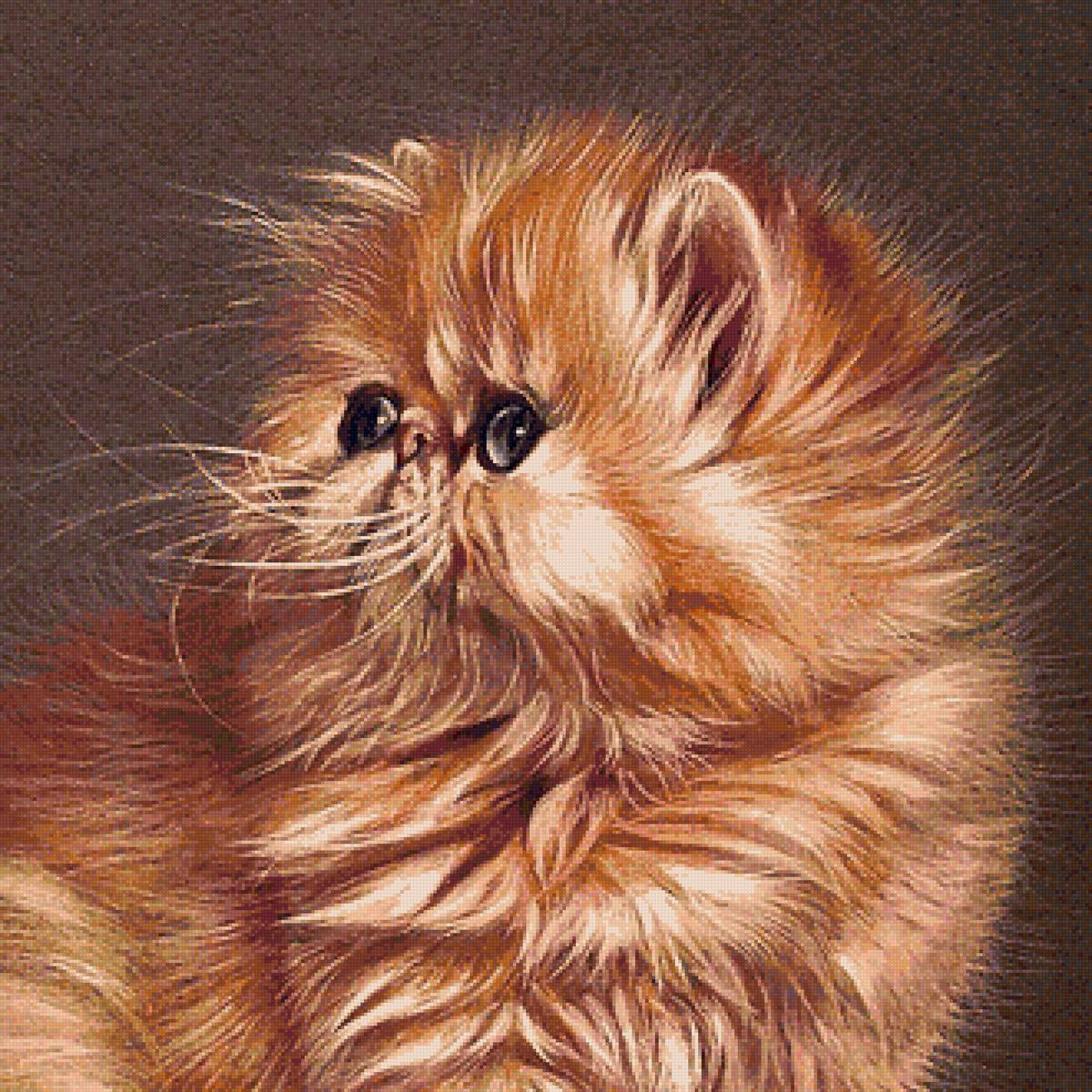 00064 - предпросмотр