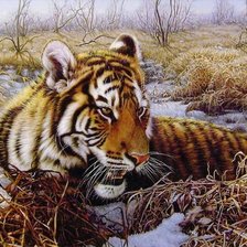 Схема вышивки «00072»