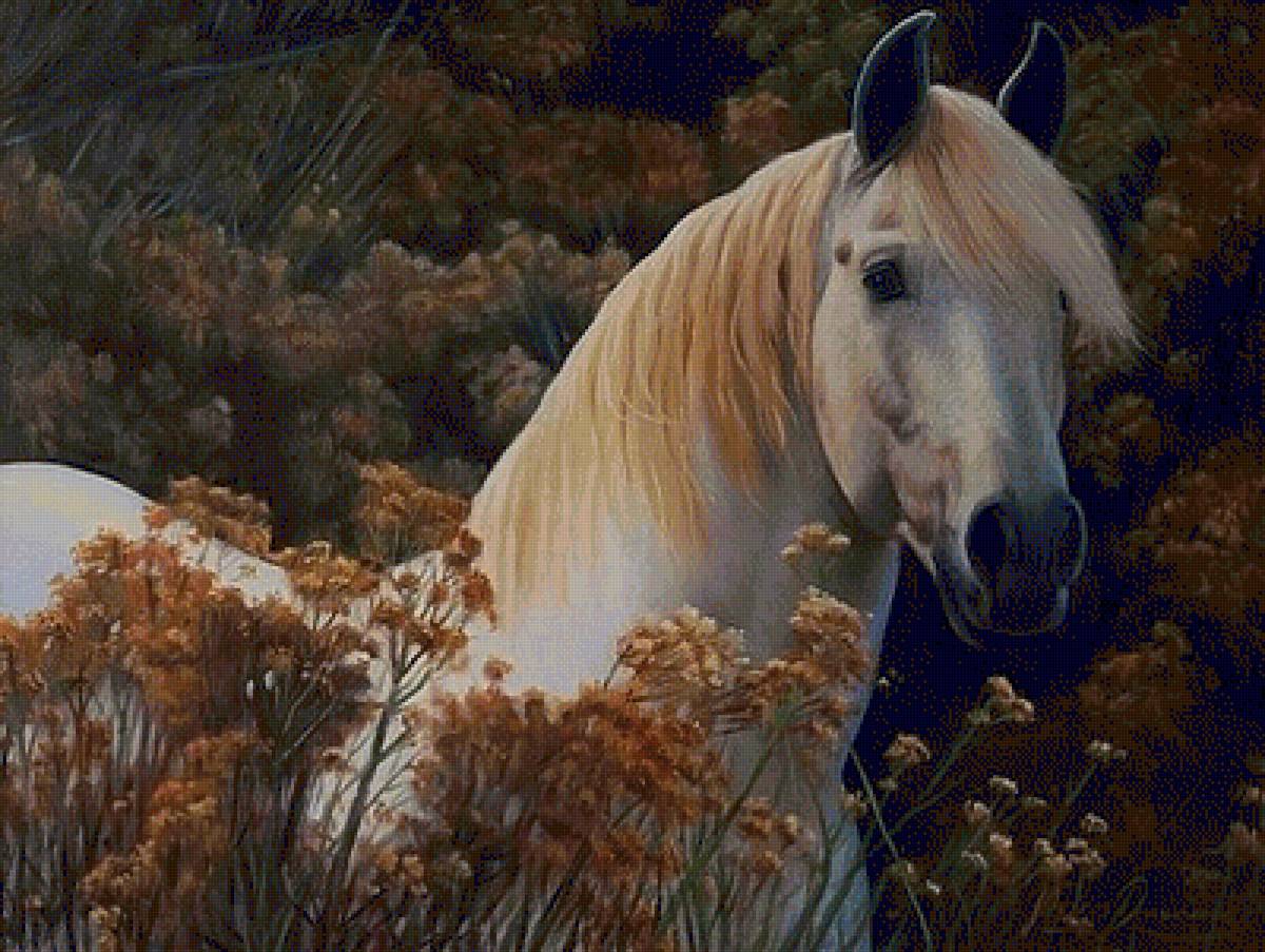 №1327395 - предпросмотр